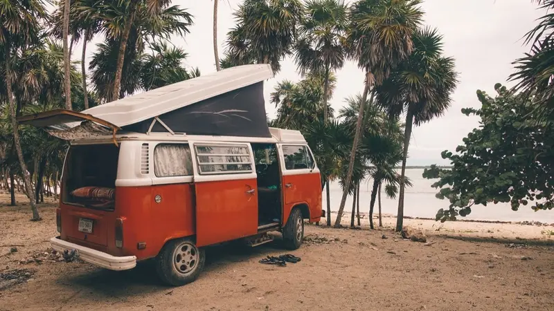 Kombi zwischen Palmen geparkt