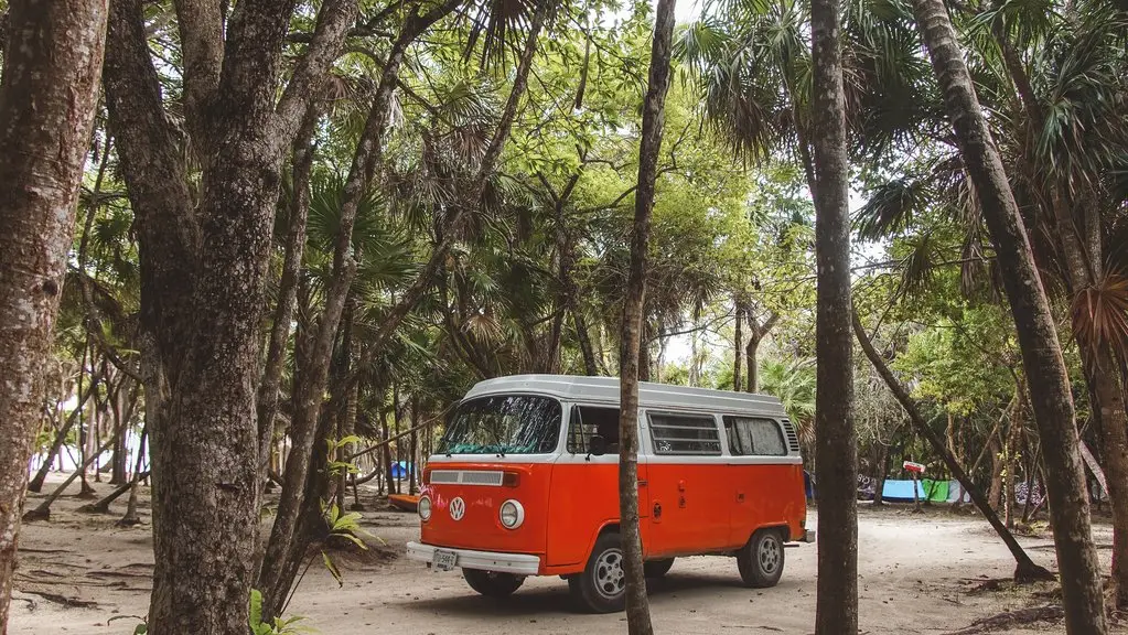 Sargassum in Tulum? Your Plan B Inland Route by Kombi